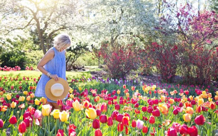 Christchurch city attractions